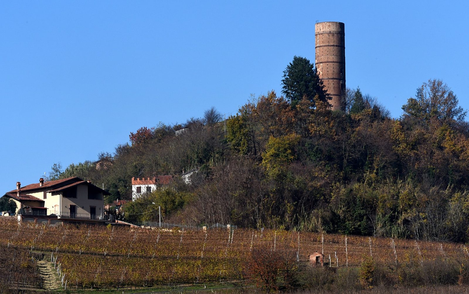 montaldo-roero