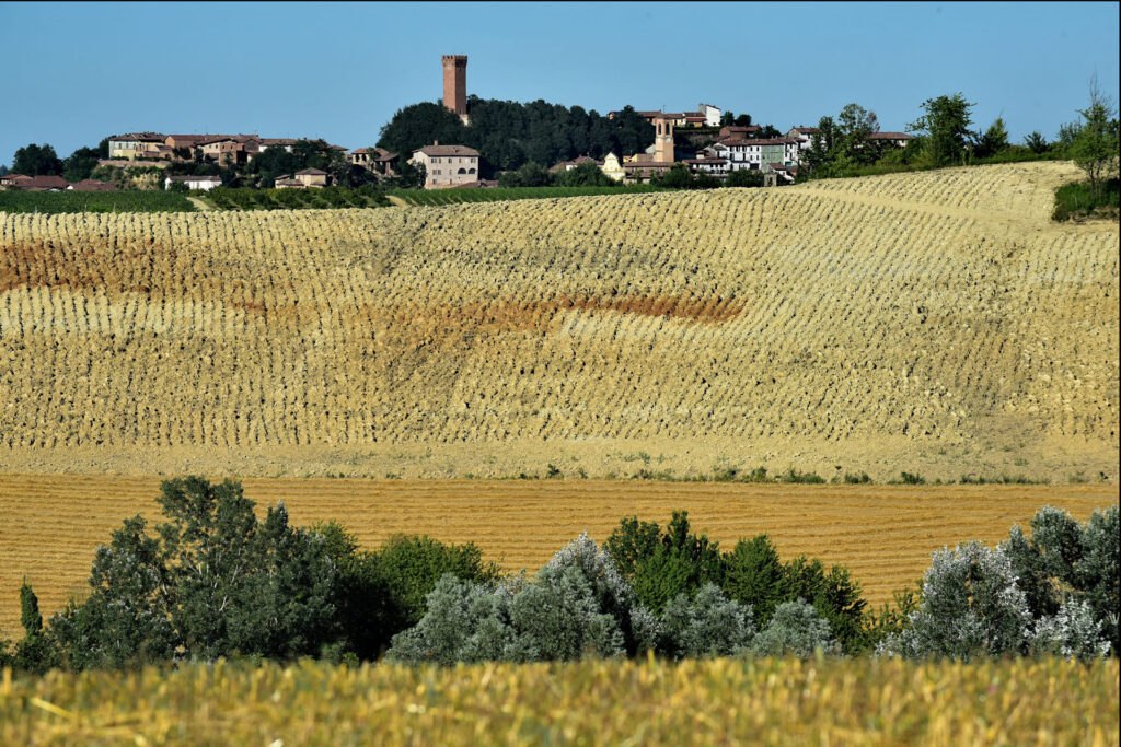 Viarigi Torri Antiche